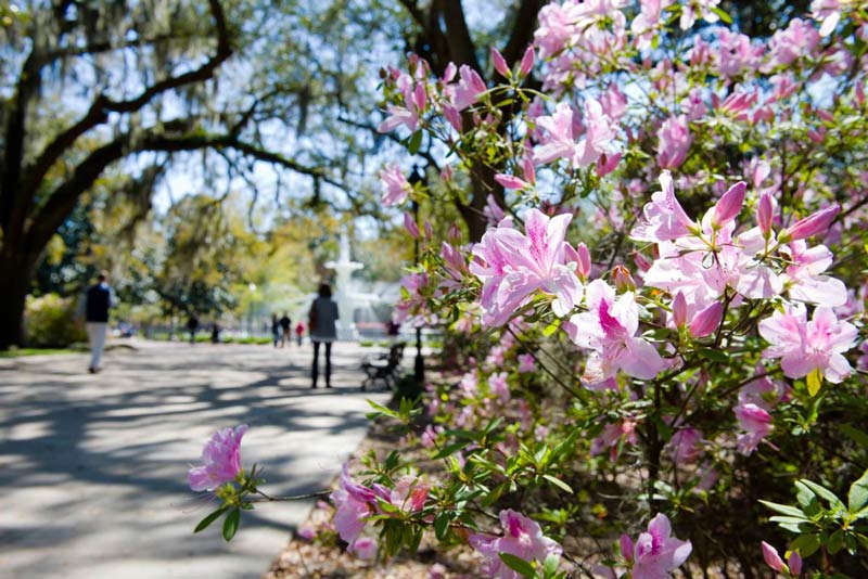 Forsyth Park in Savannah, GA